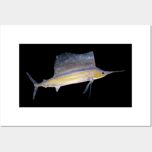 Galaxy Sailfish Posters and Art